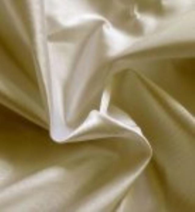 Rental store for DRAPE, CHAMPAGNE SATIN,12 TALL X 5  WIDE in New Orleans LA