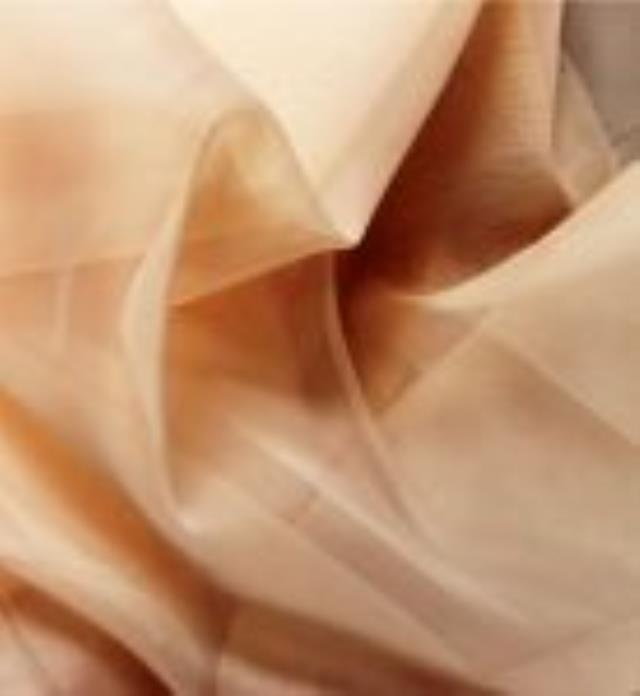 Rental store for DRAPE, PEACH SHEER, 12  TALL X 10  WIDE in New Orleans LA