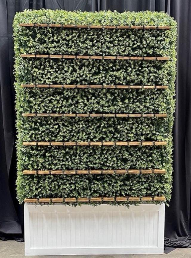Where to find HEDGE WALL 7 H X 4 W in New Orleans
