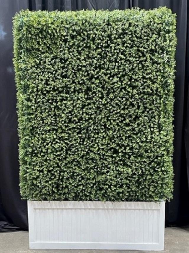 Where to find HEDGE WALL 7 H X 4 W in New Orleans