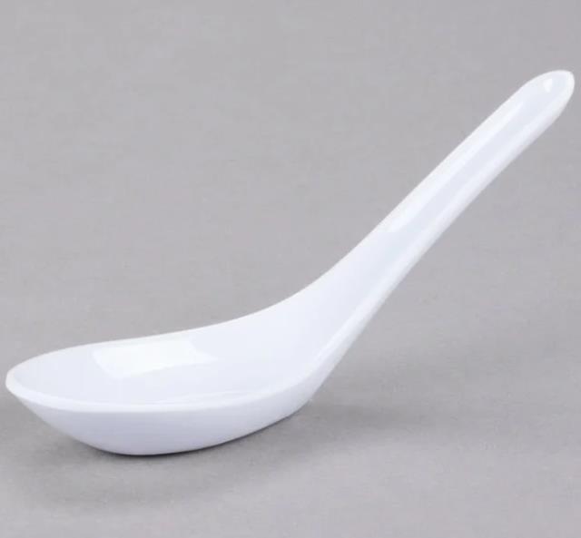 Rental store for SPOON, ASIAN SOUP SPOON PLASTIC in New Orleans LA