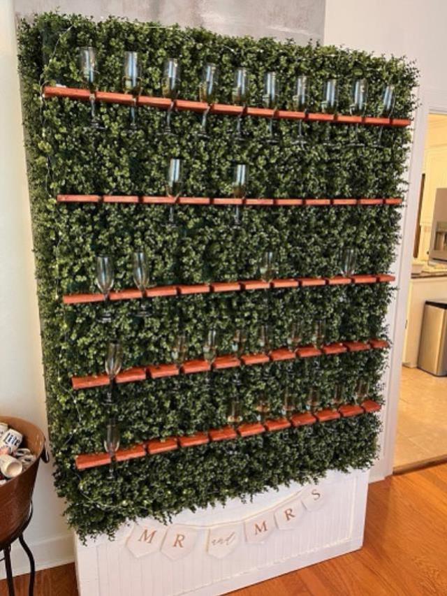 Where to find CHAMPAGNE HEDGE WALL, 7 TALL X 4 WIDE in New Orleans